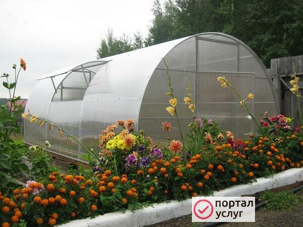 Фото Теплица 3*8