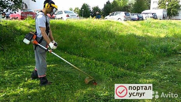 Фото Покос травы