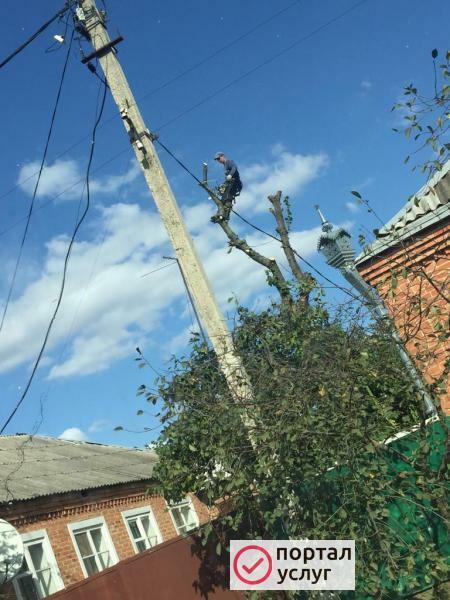 Фото Спил деревьев любой сложности 