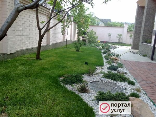 Фото Благоустройство. Рулонный газон