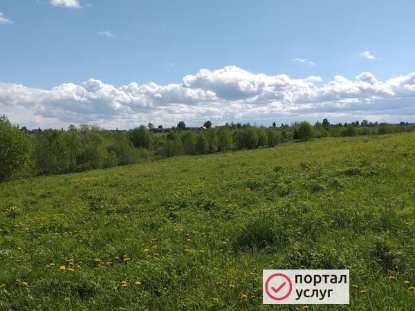 Фото Русская баня