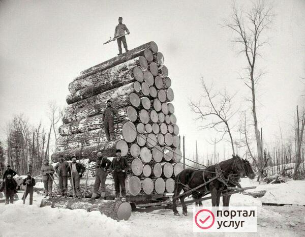 Фото Лесовоз