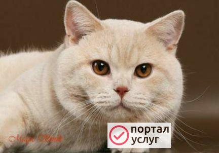 Фото Генеральная уборка, уборка после ремонта