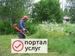 Фото Скосить участок благоустройство территории