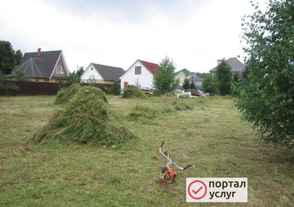 Фото Покос травы