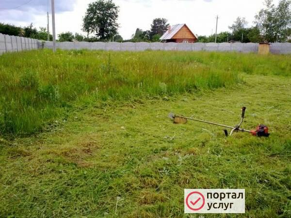 Фото Покос травы