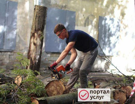 Фото Спил деревьев, распил дров и др.