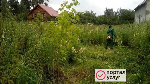 Фото Покос травы
