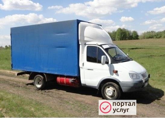 Фото Перевозка домашних животных