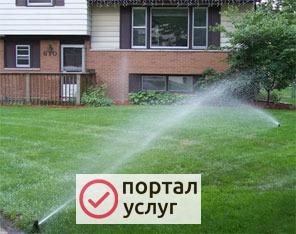 Фото Газон рулонный, посевной