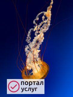Фото Прачечная
