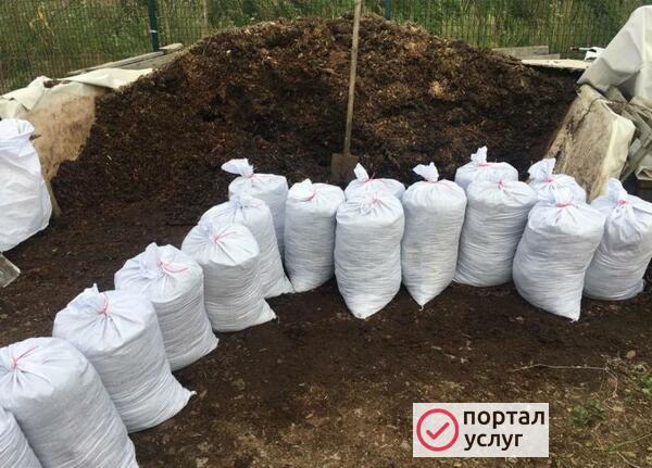 Фото Навоз