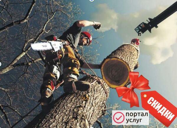 Фото Спил деревьев расчистка участков, покос травы.