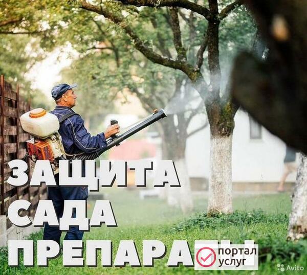 Фото обработка сада