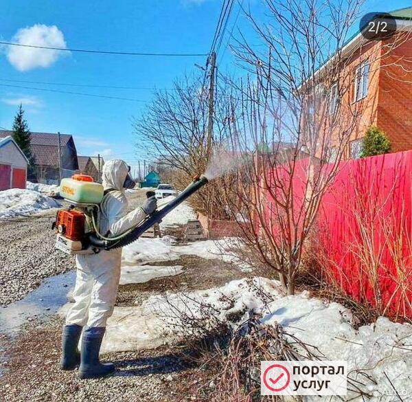 Фото Обработка сада,Клещи,Короеда,Болезни плодовых