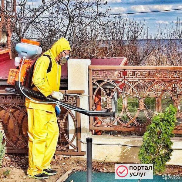 Фото Обработка деревьев