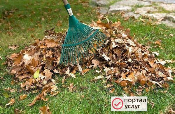 Фото Уборка территории