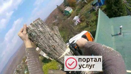 Фото Спилю деревья