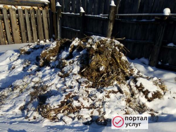 Фото Продам навоз