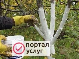 Фото Уход за садом. Садовники