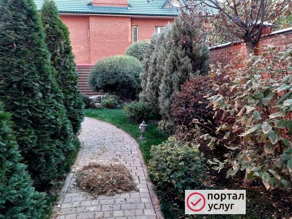 Фото Обрезка деревьев, услуги садовника