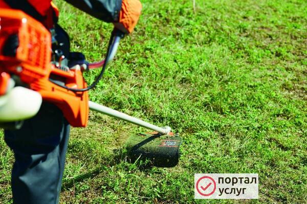 Фото Покос травы