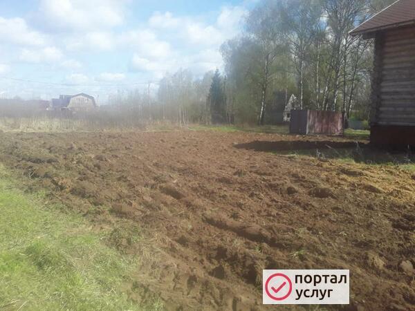 Фото Очистка участков