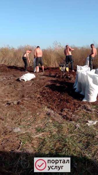 Фото Навоз перегной в мешках