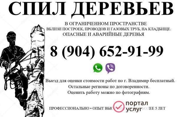 Фото спил деревьев