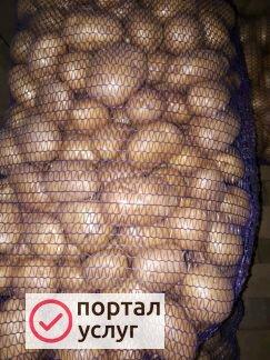 Фото Картофель мытый
