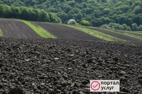 Фото Чернозем, грунт,торф, био грунт