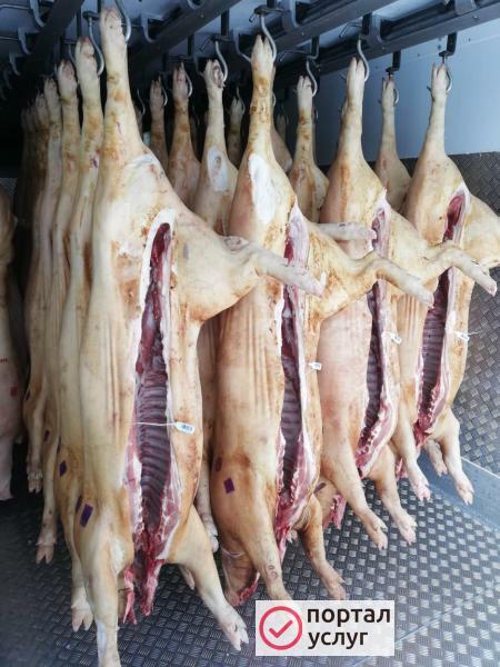 Фото Мясо свинина оптом 