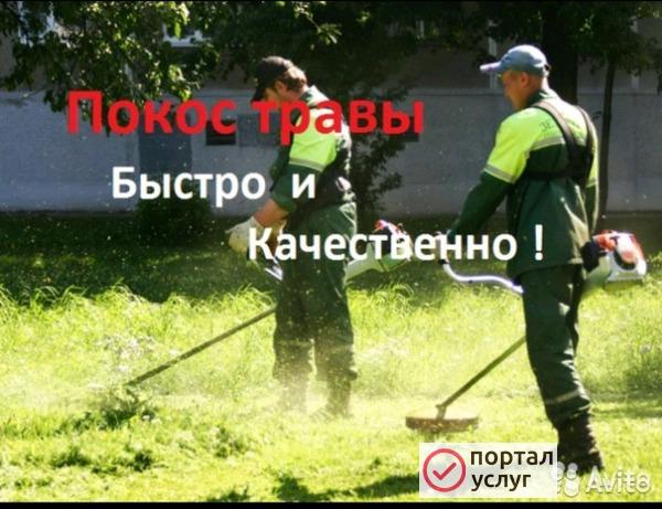 Фото Покос травы