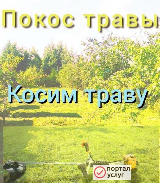 Фото Скосить траву