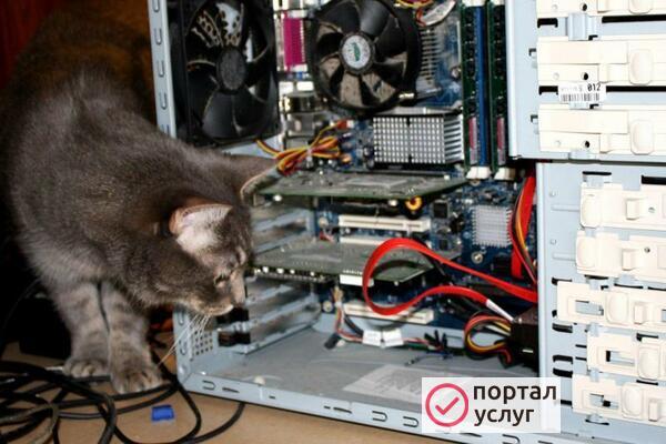 Фото Компьютерная помощь