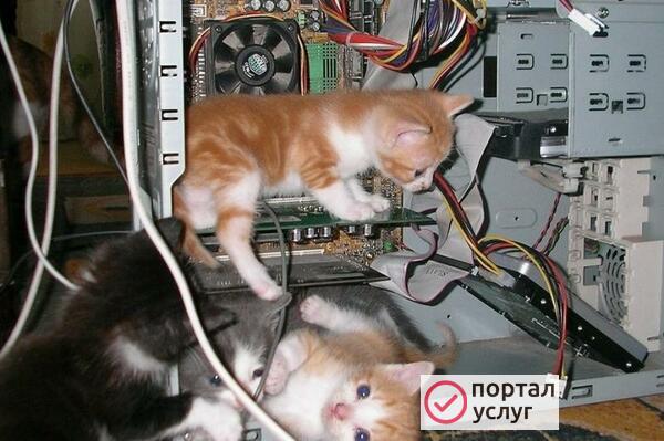 Фото Компьютерный мастер