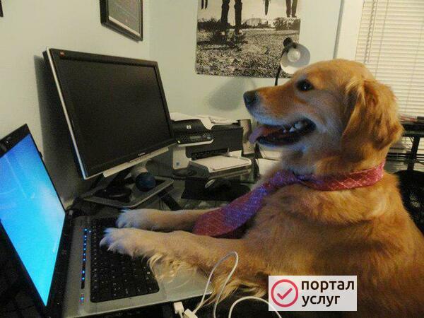 Фото Компьютерный мастер