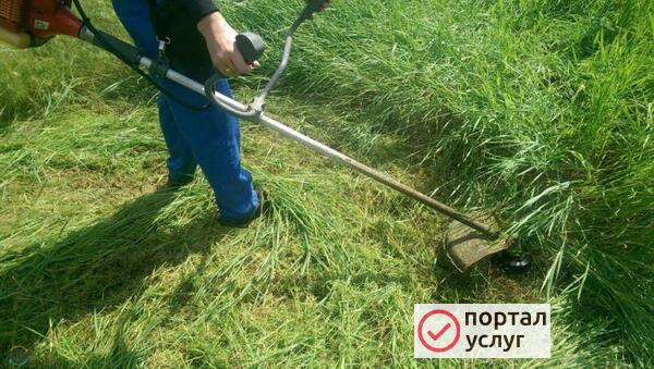 Фото Покос травы в Кингисеппе