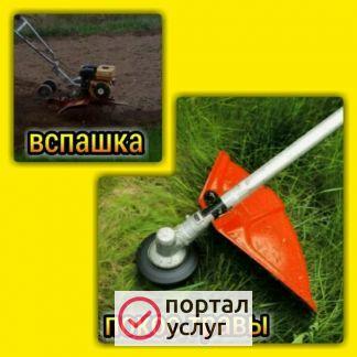 Фото Наведем порядок в вашем дворе и на участке