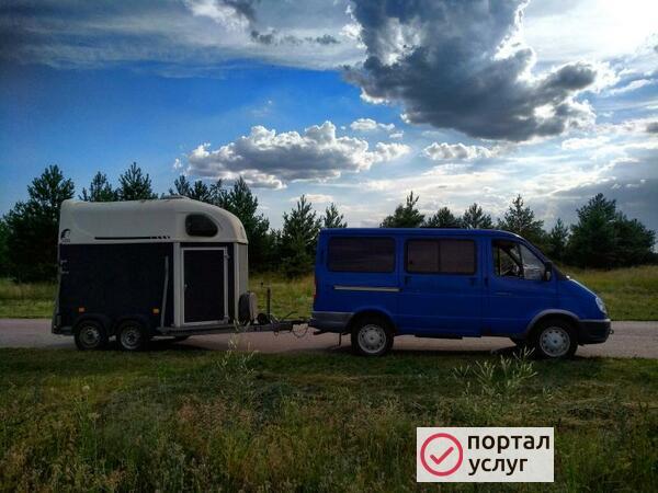 Фото Перевозка лошадей. 