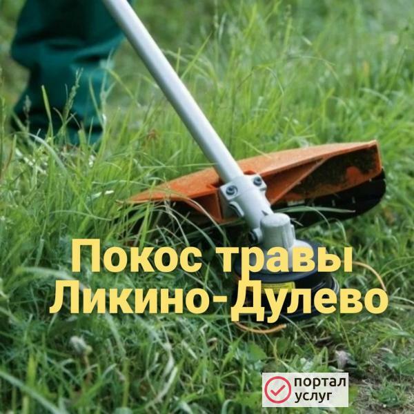 Фото Профессиональный покос травы