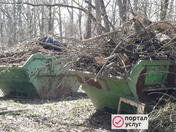 Фото Вывоз мусора