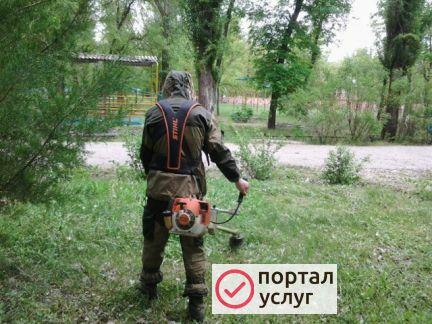 Фото Покос травы