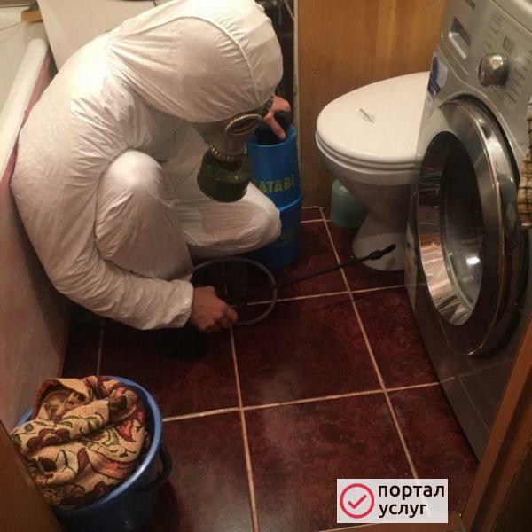 Фото Дезинсекция помещений