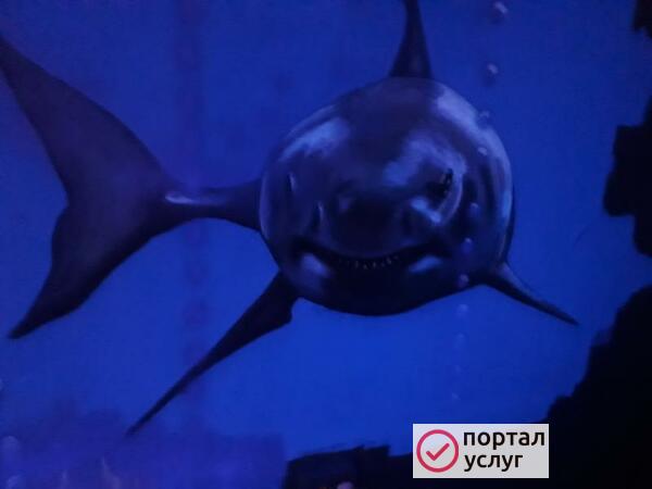 Фото Широкий спектр художественных услуг