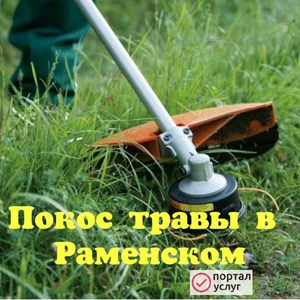 Фото Профессиональный покос травы