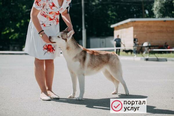 Фото Хендлер