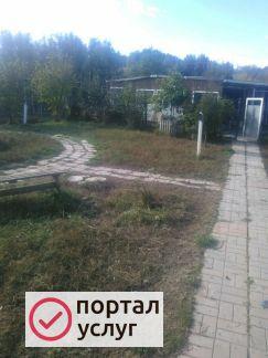 Фото Передержка собак