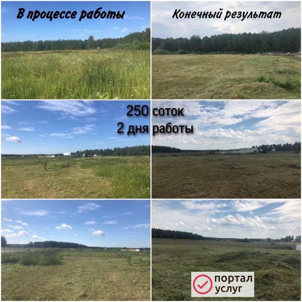 Фото Покос травы, спиливание деревьев