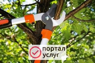 Фото Обрезка деревьев